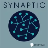 Synaptic Logo